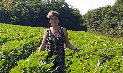 Марина й Остап