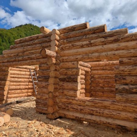 фото_екологічні будинки зі зрубу_КОЛЕО